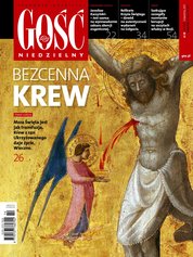 : Gość Niedzielny - Świdnicki - e-wydanie – 14/2017