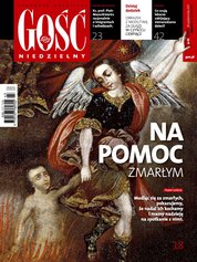 : Gość Niedzielny - Elbląski - e-wydanie – 43/2017