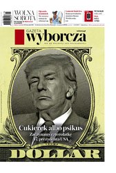 : Gazeta Wyborcza - Poznań - e-wydanie – 14/2025