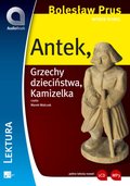 Lektury szkolne, opracowania lektur: Wybór nowel - Antek - audiobook