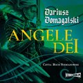 Fantastyka: Angele Dei - audiobook