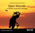 Open Wounds: A Native American Heritage - audiobook