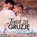 literatura piękna, beletrystyka: Toast za Gruzję - audiobook