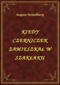 ebooki: Kiedy Czerniczek Zamieszkał W Szakłaku - ebook