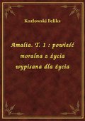 Amalia. T. 1 : powieść moralna z życia wypisana dla życia - ebook