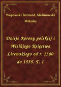 Dzieje Korony polskiej i Wielkiego Księstwa Litewskiego od r. 1380 do 1535. T. 1 - ebook