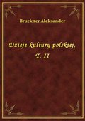 Dzieje kultury polskiej, T. II - ebook