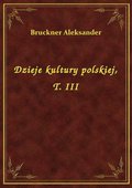 Dzieje kultury polskiej, T. III - ebook
