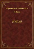 Dziennik za r. 1832/33 - ebook