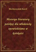 Historya literatury polskiej dla młodzieży opowiedziana w krótkości - ebook