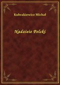 Nadzieie Polski - ebook
