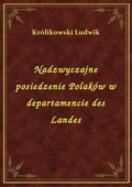 Nadzwyczajne posiedzenie Polaków w departamencie des Landes - ebook