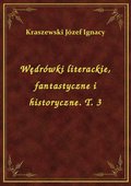 Wędrówki literackie, fantastyczne i historyczne. T. 3 - ebook