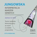 audiobooki: Jungowska interpretacja marzeń sennych - audiobook