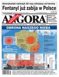 polityka, społeczno-informacyjne: Angora – e-wydanie – 17/2024