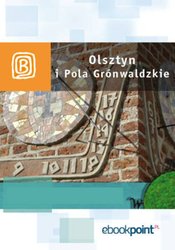 : Olsztyn i Pola Grunwaldzkie. Miniprzewodnik - ebook