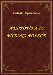 : Wędrówka Po Wielko-Polsce - ebook