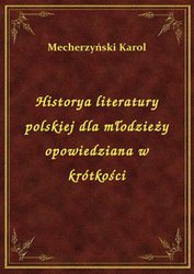 : Historya literatury polskiej dla młodzieży opowiedziana w krótkości - ebook