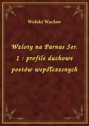 : Wzloty na Parnas Ser. 1 : profile duchowe poetów współczesnych - ebook