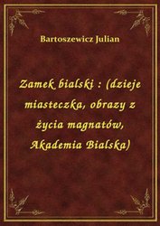 : Zamek bialski : (dzieje miasteczka, obrazy z życia magnatów, Akademia Bialska) - ebook