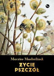 : Życie pszczół - ebook
