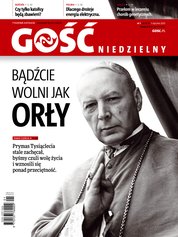 : Gość Niedzielny - Świdnicki - e-wydanie – 1/2020