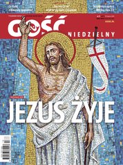 : Gość Niedzielny - Płocki - e-wydanie – 13/2024